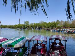 -朝阳公园游乐园