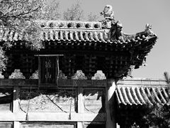 -藏山旅游风景区