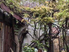 -斯多格书乡(北京大学畅春园店)