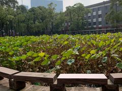 -四川大学(望江校区)