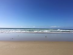 -黄金海岸