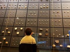 -北京周口店北京人遗址博物馆