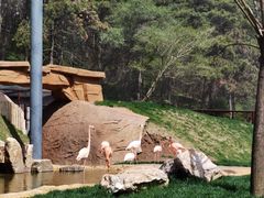 -沈阳森林动物园