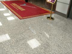 -郑州新郑国际机场T2航站楼-贵宾厅B区