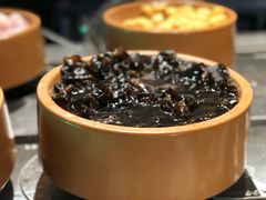 水发木耳-龍歌自助小火锅(市北和达中心城店)