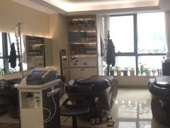 -碧莲盛·不剃发植发