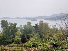 -天目湖涵田半山温泉