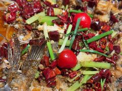 -老板恋上鱼(恒隆广场店)