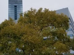 -福冈国际邮轮码头