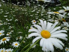 -重庆雨台山风景区