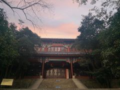 -灵谷景区