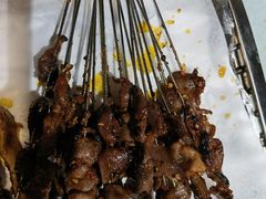 -鼎原力量东北吊炉烧烤(临河街店)