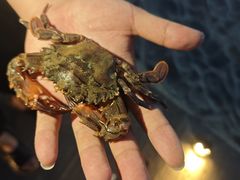 -阿弟特色海鲜餐厅·大排档(平潭店)