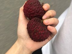 -江南红鱼汤(洋中花园店)