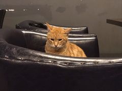 -哈尔滨风味小吃东北菜(五角场店)