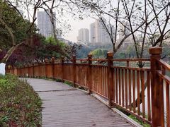 -重庆彩云湖湿地公园