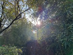 -七彩云南古滇温泉山庄