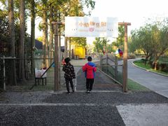 -前小桔亲子创意农场·草莓采摘·露营烧烤