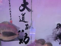 -曲阳花鸟市场(曲阳路店)