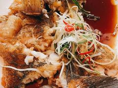 -望乡楼上海菜(日月光店)