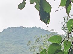 -香山公园