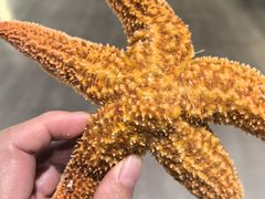 -蓝珊甄选海鲜自助·火锅大排档(近阿那亚店)