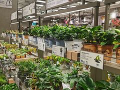 -鹿岛会员店(熙地港店)