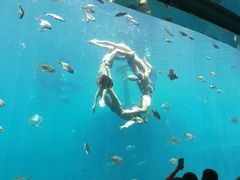 -瑞德姆美人鱼海底演艺主题餐厅(亚龙湾店)