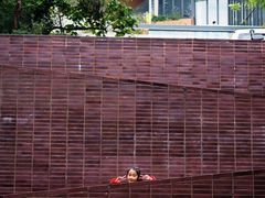 -香港大学
