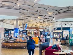 -贾特拉帕蒂·希瓦吉国际机场