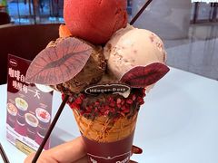 -哈根达斯(万象城店)