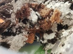 奥利奥盒子-壹心榴莲千层蛋糕甜品店