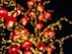 -上街里市集(悦喜客来广场店)