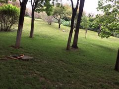 -石家庄市动物园