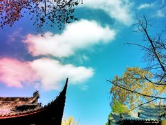 -灵谷景区