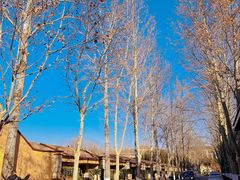 -春晖园度假酒店温泉