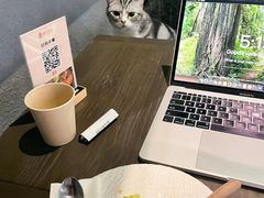 -咖法森林·咖啡  酒吧(天河店)