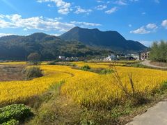 -四明湖