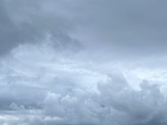 -深圳湾公园(南山区)
