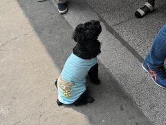 -盛兴面馆(真儒大厦店)