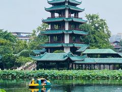 -桂湖森林公园
