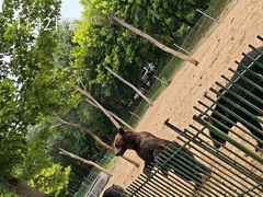 -秦皇岛野生动物园