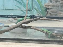 -石家庄市动物园