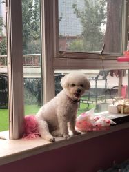 -Pink You美甲美睫纹绣定制中心