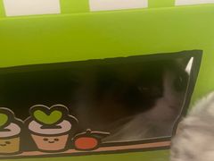 -奈雪的茶(中粮祥云小镇店)
