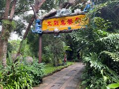 -海南热带野生动植物园