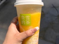 -大孩龙虾(体育场旗舰店)