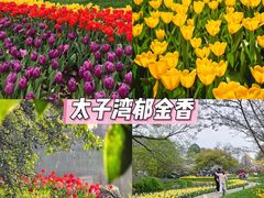 -杭州城中香格里拉大酒店
