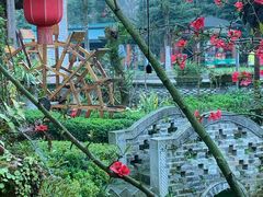 -青城甲(青城山店)