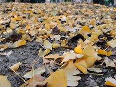 -成都市第一人民医院(南区)